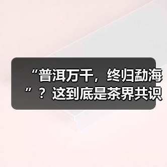 “普洱万千，终归勐海”？这到底是茶界共识还是营销话术？（图3）