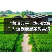 “普洱万千，终归勐海”？这到底是茶界共识还是营销话术？（图1）