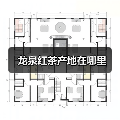 龙泉红茶产地在哪里（图4）