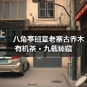 八角亭班章老寨古乔木有机茶 · 九载臻藏(图4) 八角亭班章老寨古乔木有机茶 · 九载臻藏(图4)