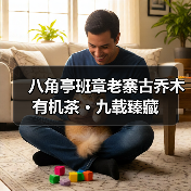 八角亭班章老寨古乔木有机茶 · 九载臻藏(图1) 八角亭班章老寨古乔木有机茶 · 九载臻藏(图1)