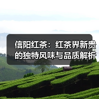 信阳红茶:红茶界新贵的独特风味与品质解析(图1) 信阳红茶:红茶界新贵的独特风味与品质解析(图1)