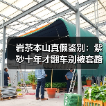 岩茶本山真假鉴别:紫砂十年才翻车别被套路(图4) 岩茶本山真假鉴别:紫砂十年才翻车别被套路(图4)