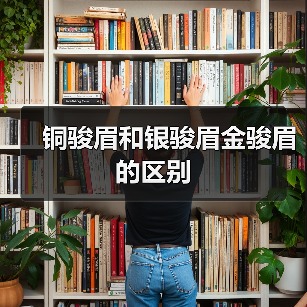 铜骏眉和银骏眉金骏眉的区别(图4) 铜骏眉和银骏眉金骏眉的区别(图4)