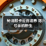 秘境那卡云雾滋养 陈升号茶韵新生（图4）