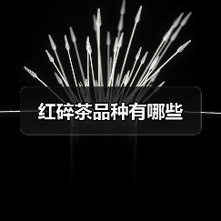 红碎茶品种有哪些(图3) 红碎茶品种有哪些(图3)