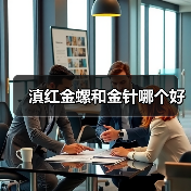 滇红金螺和金针哪个好(图2) 滇红金螺和金针哪个好(图2)