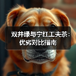 双井绿与宁红工夫茶:优劣对比指南(图4) 双井绿与宁红工夫茶:优劣对比指南(图4)