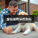金骏眉有保质期吗(图2) 金骏眉有保质期吗(图2)