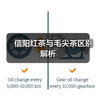信阳红茶与毛尖茶区别解析(图2) 信阳红茶与毛尖茶区别解析(图2)