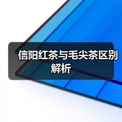 信阳红茶与毛尖茶区别解析(图3) 信阳红茶与毛尖茶区别解析(图3)
