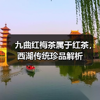 九曲红梅茶属于红茶,西湖传统珍品解析(图2) 九曲红梅茶属于红茶,西湖传统珍品解析(图2)