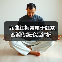 九曲红梅茶属于红茶,西湖传统珍品解析(图3) 九曲红梅茶属于红茶,西湖传统珍品解析(图3)