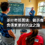 茶叶市场困境:做茶者负债累累的创业之路(图4) 茶叶市场困境:做茶者负债累累的创业之路(图4)