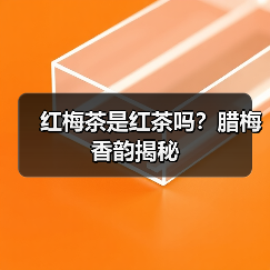 红梅茶是红茶吗?腊梅香韵揭秘(图3) 红梅茶是红茶吗?腊梅香韵揭秘(图3)