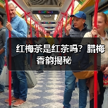 红梅茶是红茶吗?腊梅香韵揭秘(图4) 红梅茶是红茶吗?腊梅香韵揭秘(图4)