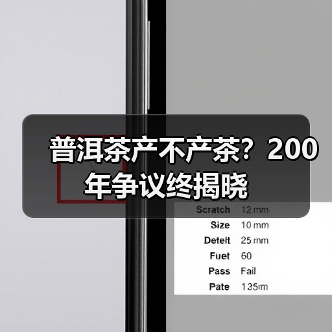 普洱茶产不产茶?200年争议终揭晓(图1) 普洱茶产不产茶?200年争议终揭晓(图1)