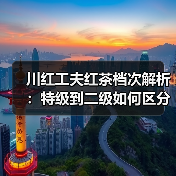 川红工夫红茶档次解析:特级到二级如何区分?(图3) 川红工夫红茶档次解析:特级到二级如何区分?(图3)