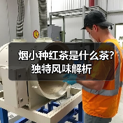 烟小种红茶是什么茶？独特风味解析（图1）