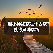 烟小种红茶是什么茶？独特风味解析（图2）