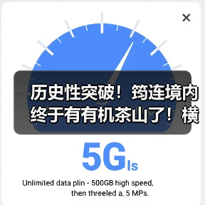 历史性突破！筠连境内终于有有机茶山了！横跨川滇三县上千亩！（图1）