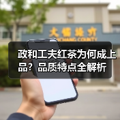 政和工夫红茶为何成上品？品质特点全解析（图1）