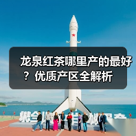 龙泉红茶哪里产的最好?优质产区全解析(图4) 龙泉红茶哪里产的最好?优质产区全解析(图4)