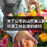 关于公布名山区第三批非遗工坊名单的通知(图4) 关于公布名山区第三批非遗工坊名单的通知(图4)