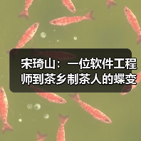 宋琦山:一位软件工程师到茶乡制茶人的蝶变(图4) 宋琦山:一位软件工程师到茶乡制茶人的蝶变(图4)