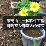 宋琦山:一位软件工程师到茶乡制茶人的蝶变(图1) 宋琦山:一位软件工程师到茶乡制茶人的蝶变(图1)