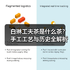 白琳工夫茶是什么茶？手工工艺与历史全解析（图1）