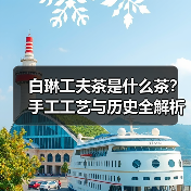 白琳工夫茶是什么茶？手工工艺与历史全解析（图4）