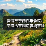 普洱产茶两百年争议：宁洱古茶园逆袭成茶源？（图4）