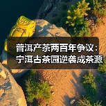 普洱产茶两百年争议：宁洱古茶园逆袭成茶源？（图2）