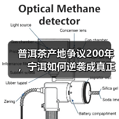 普洱茶产地争议200年，宁洱如何逆袭成真正源头？（图4）