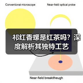 祁红香螺是红茶吗?深度解析其独特工艺(图3) 祁红香螺是红茶吗?深度解析其独特工艺(图3)