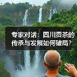 专家对话：四川贡茶的传承与发展如何破局？（图2）