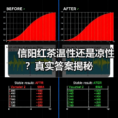 信阳红茶温性还是凉性？真实答案揭秘（图1）