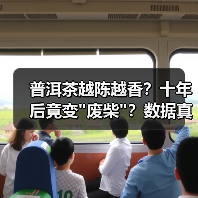 普洱茶越陈越香？十年后竟变