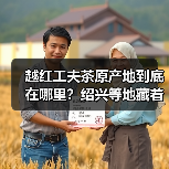 越红工夫茶原产地到底在哪里？绍兴等地藏着它的神秘根源（图2）