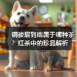 铜骏眉到底属于哪种茶?红茶中的珍品解析(图4) 铜骏眉到底属于哪种茶?红茶中的珍品解析(图4)