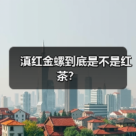滇红金螺到底是不是红茶?(图4) 滇红金螺到底是不是红茶?(图4)