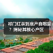 祁门红茶到底产自哪里?揭秘其核心产区(图3) 祁门红茶到底产自哪里?揭秘其核心产区(图3)