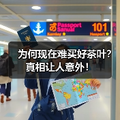 为何现在难买好茶叶?真相让人意外!(图1) 为何现在难买好茶叶?真相让人意外!(图1)
