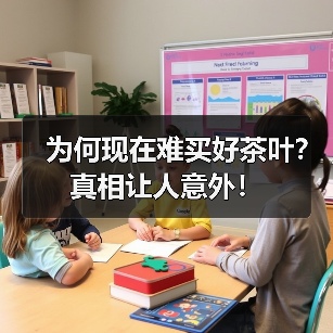 为何现在难买好茶叶?真相让人意外!(图3) 为何现在难买好茶叶?真相让人意外!(图3)