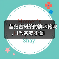 昔归古树茶的鲜味秘诀，1%茶友才懂！（图1）