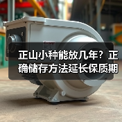 正山小种能放几年?正确储存方法延长保质期(图1) 正山小种能放几年?正确储存方法延长保质期(图1)