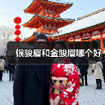 银骏眉和金骏眉哪个好(图3) 银骏眉和金骏眉哪个好(图3)
