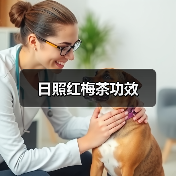 日照红梅茶功效(图1) 日照红梅茶功效(图1)