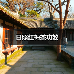 日照红梅茶功效(图2) 日照红梅茶功效(图2)